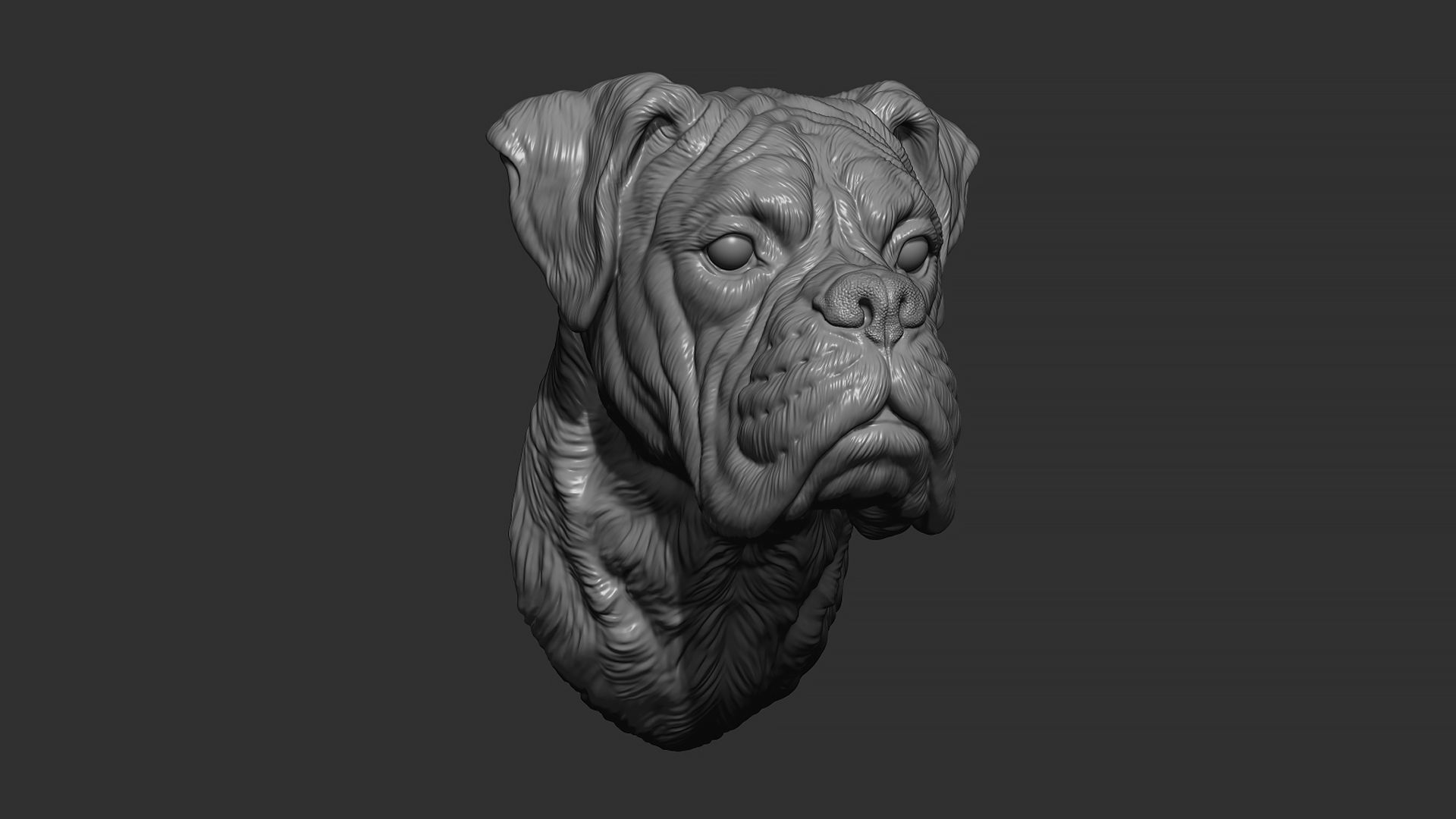 Deutscher Boxer bust 3D print model_5