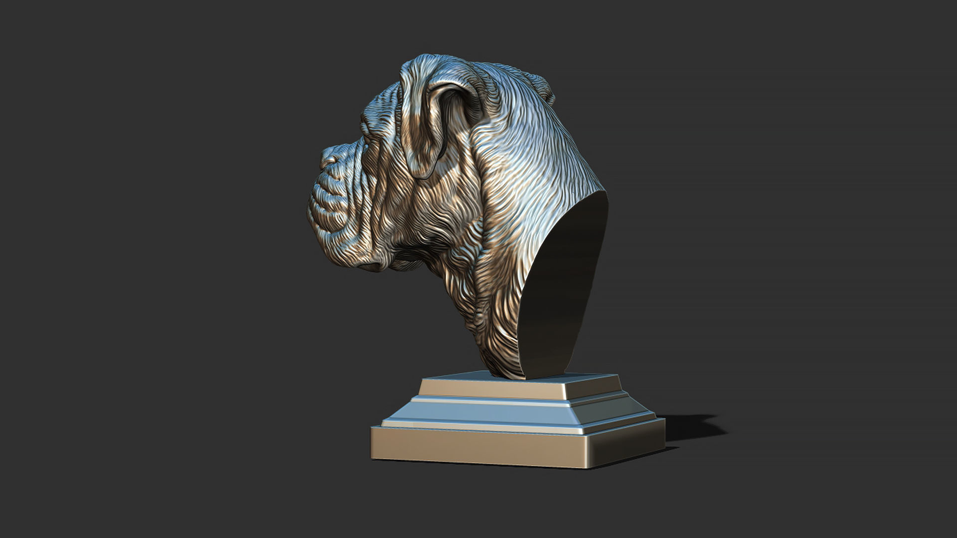 Deutscher Boxer bust 3D print model_21