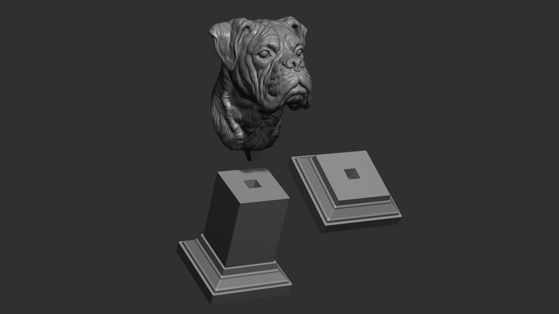 Deutscher Boxer bust 3D print model_22