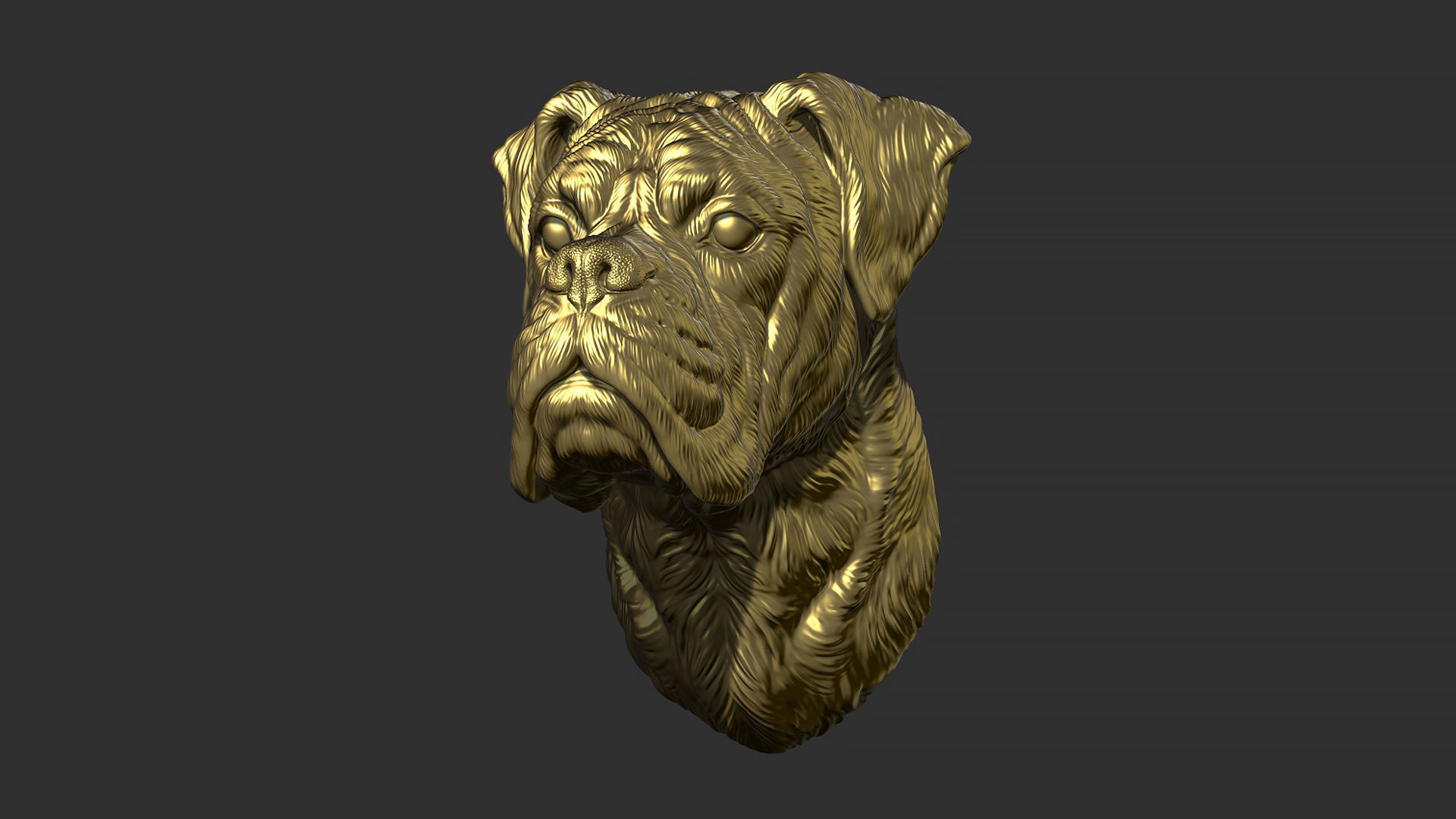 Deutscher Boxer bust 3D print model_11