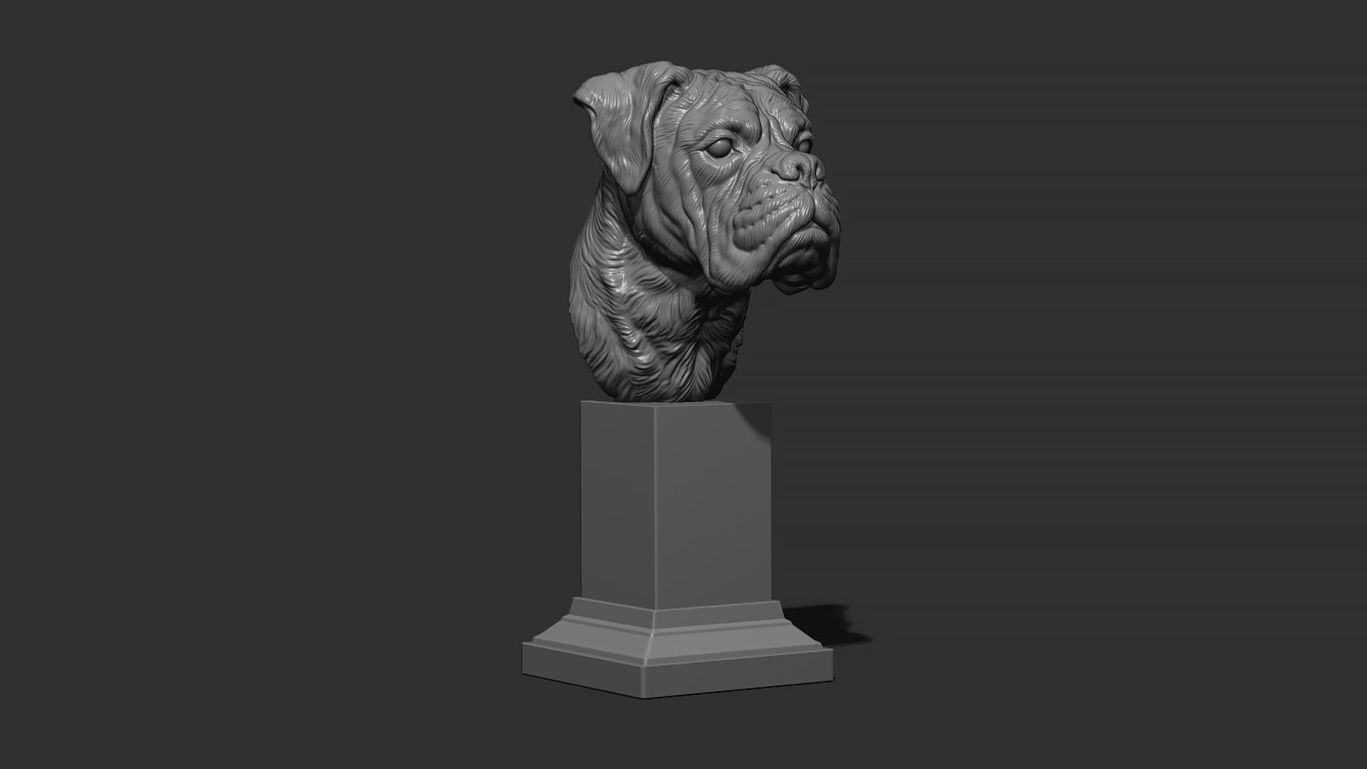 Deutscher Boxer bust 3D print model_17