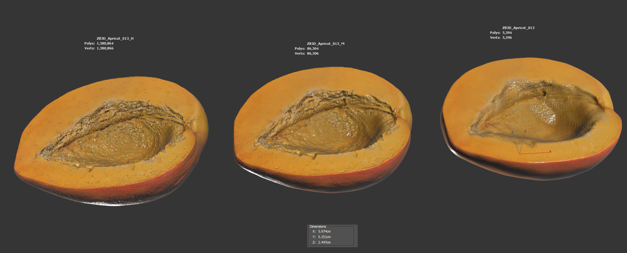 Apricot 3D model_5
