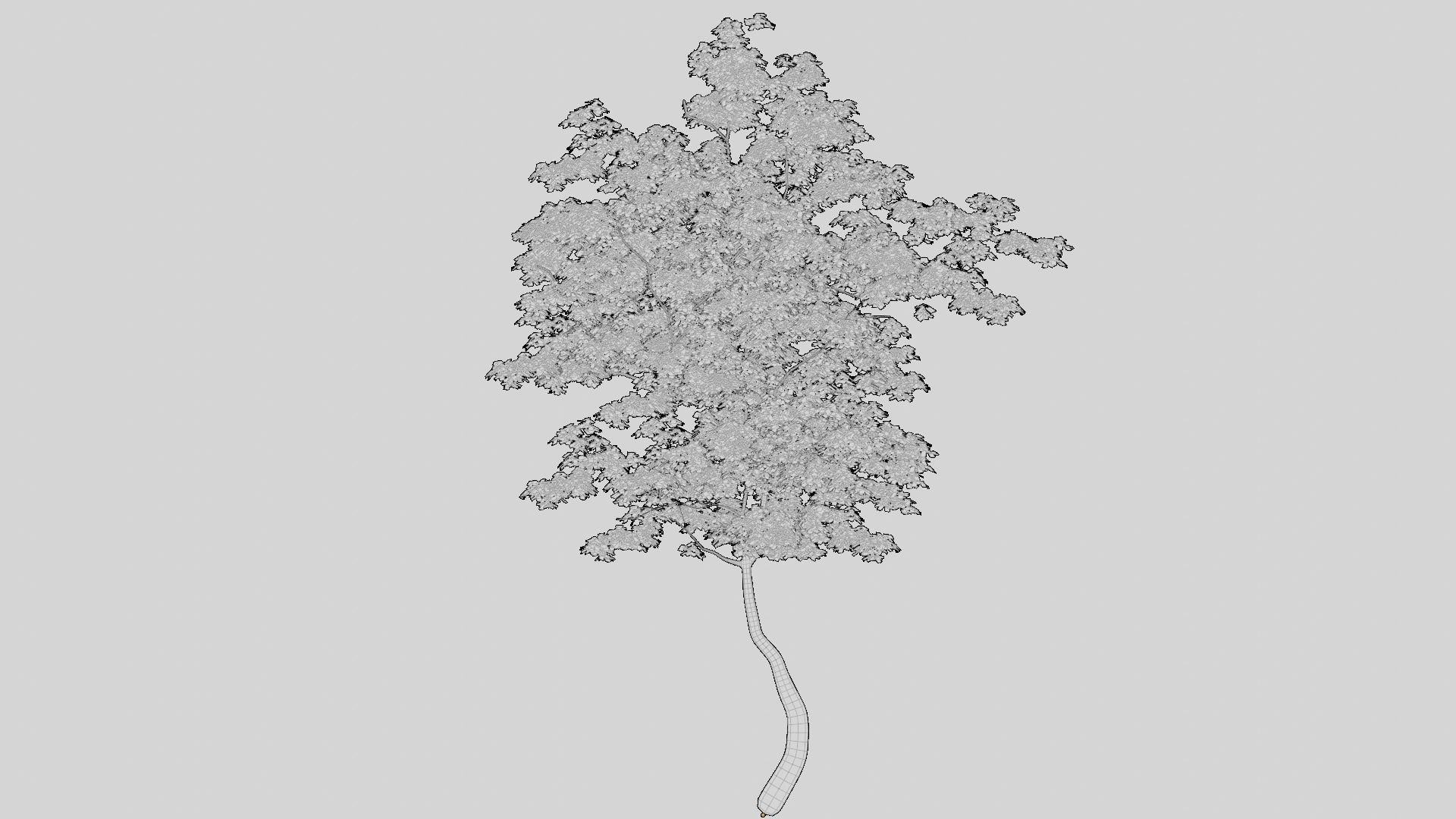 British Forest 3d Scene 3D model_18