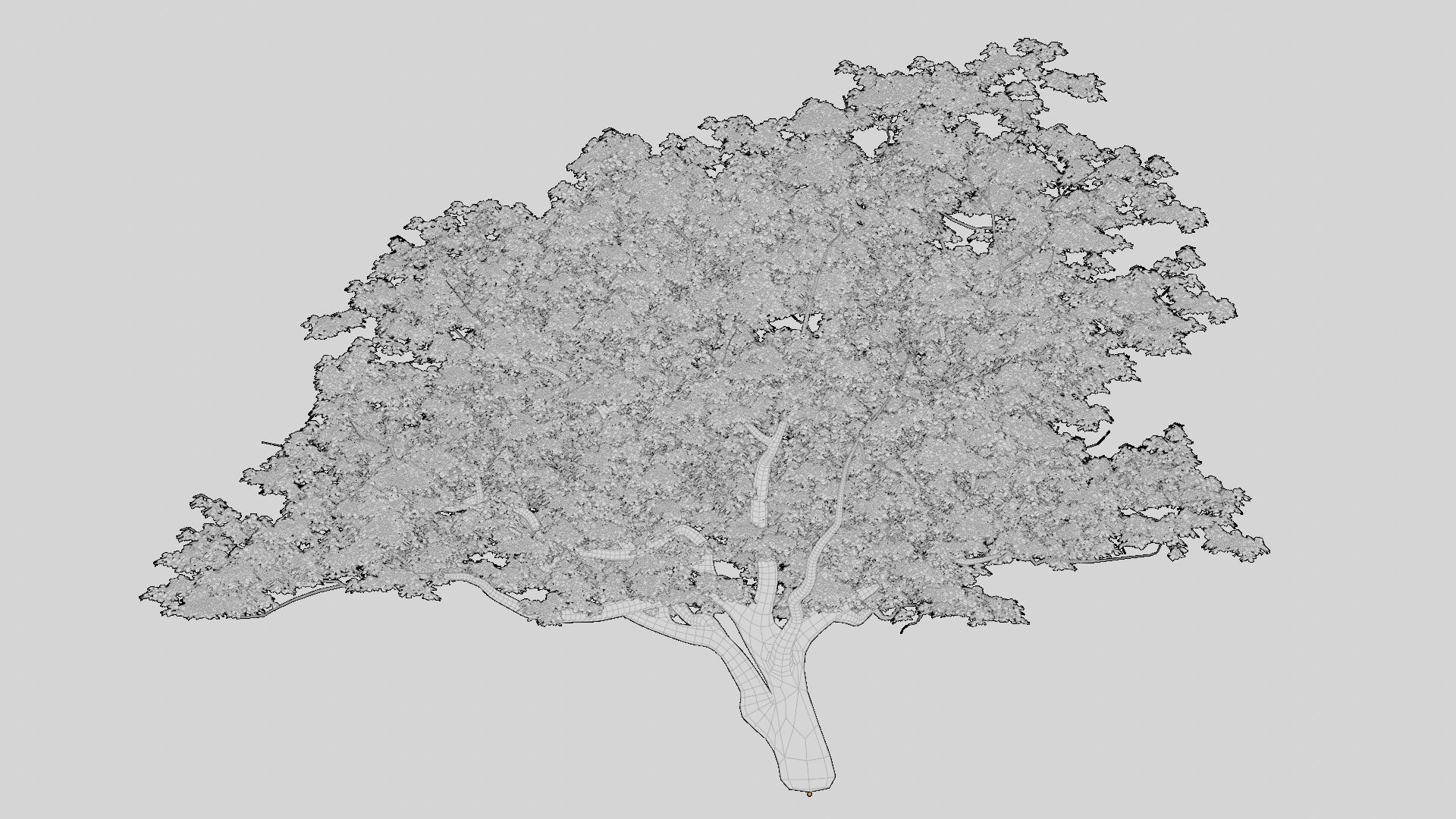 British Forest 3d Scene 3D model_13