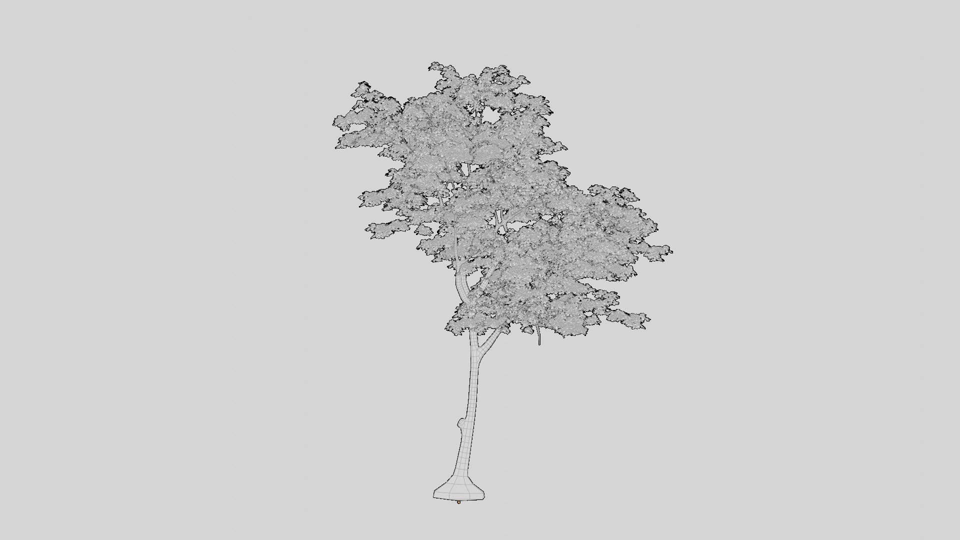 British Forest 3d Scene 3D model_16