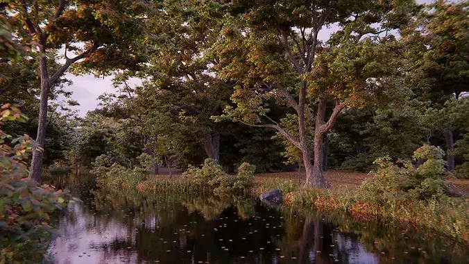 British Forest 3d Scene 3D model 6