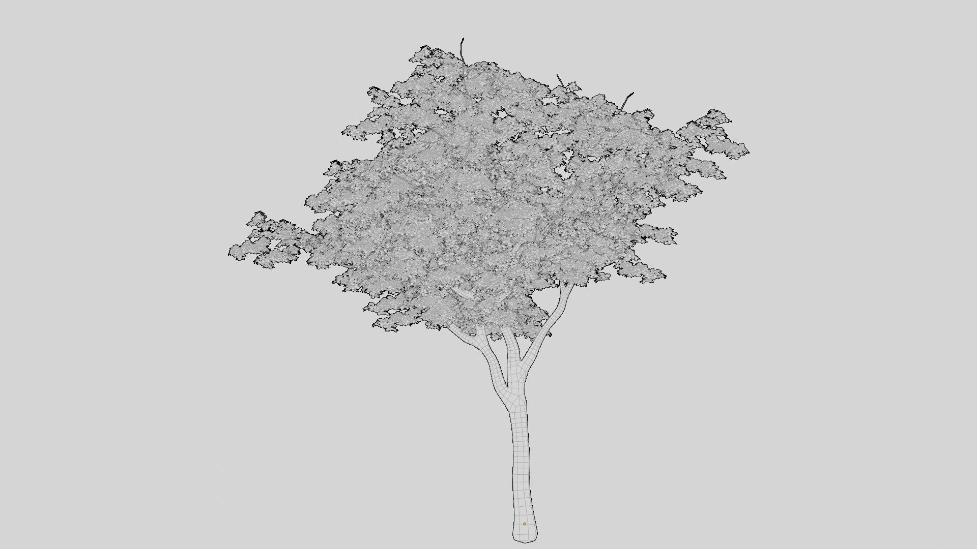 British Forest 3d Scene 3D model_17