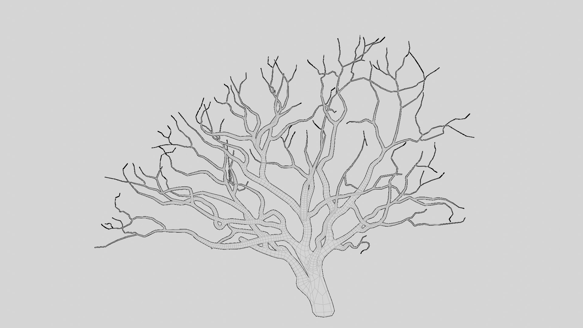 British Forest 3d Scene 3D model_20