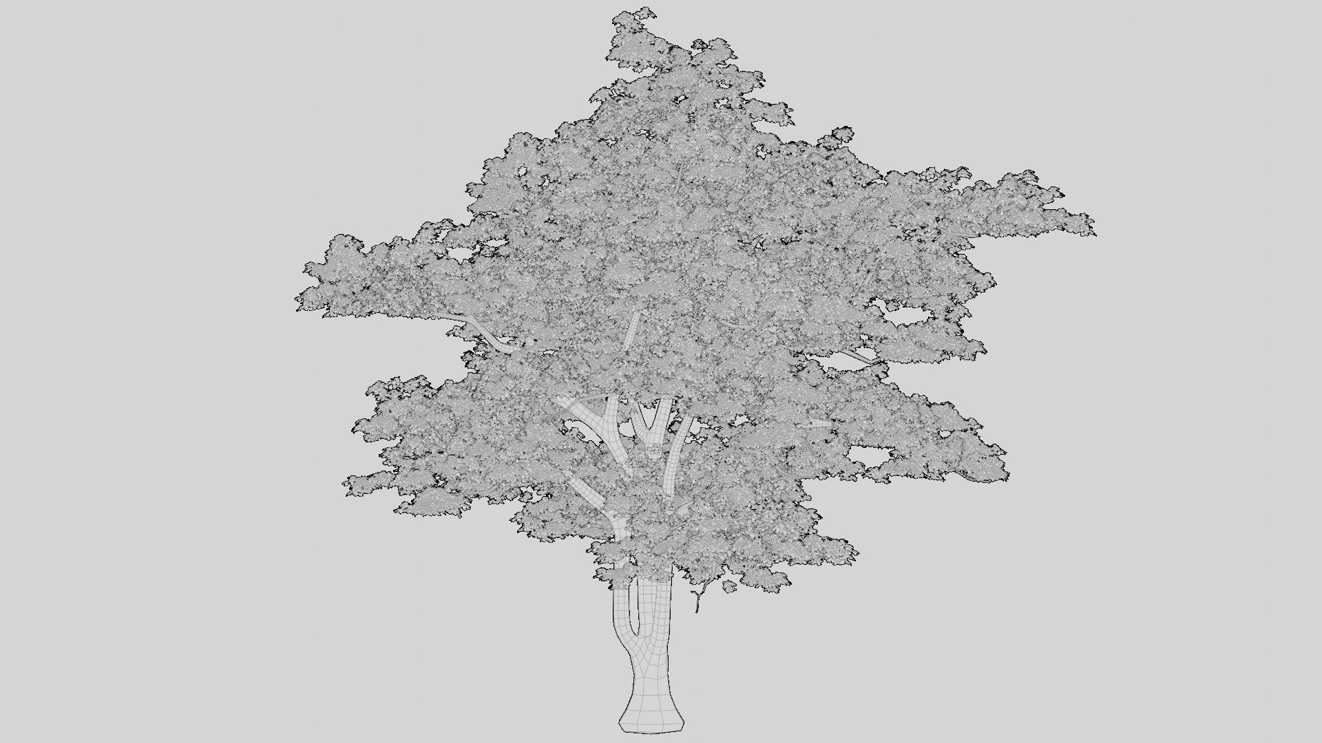 British Forest 3d Scene 3D model_15