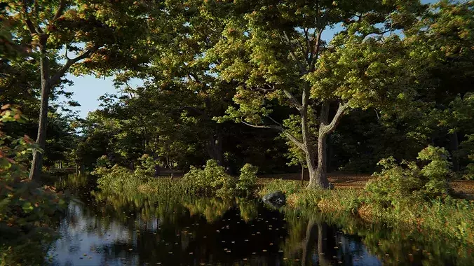 British Forest 3d Scene 3D model 5