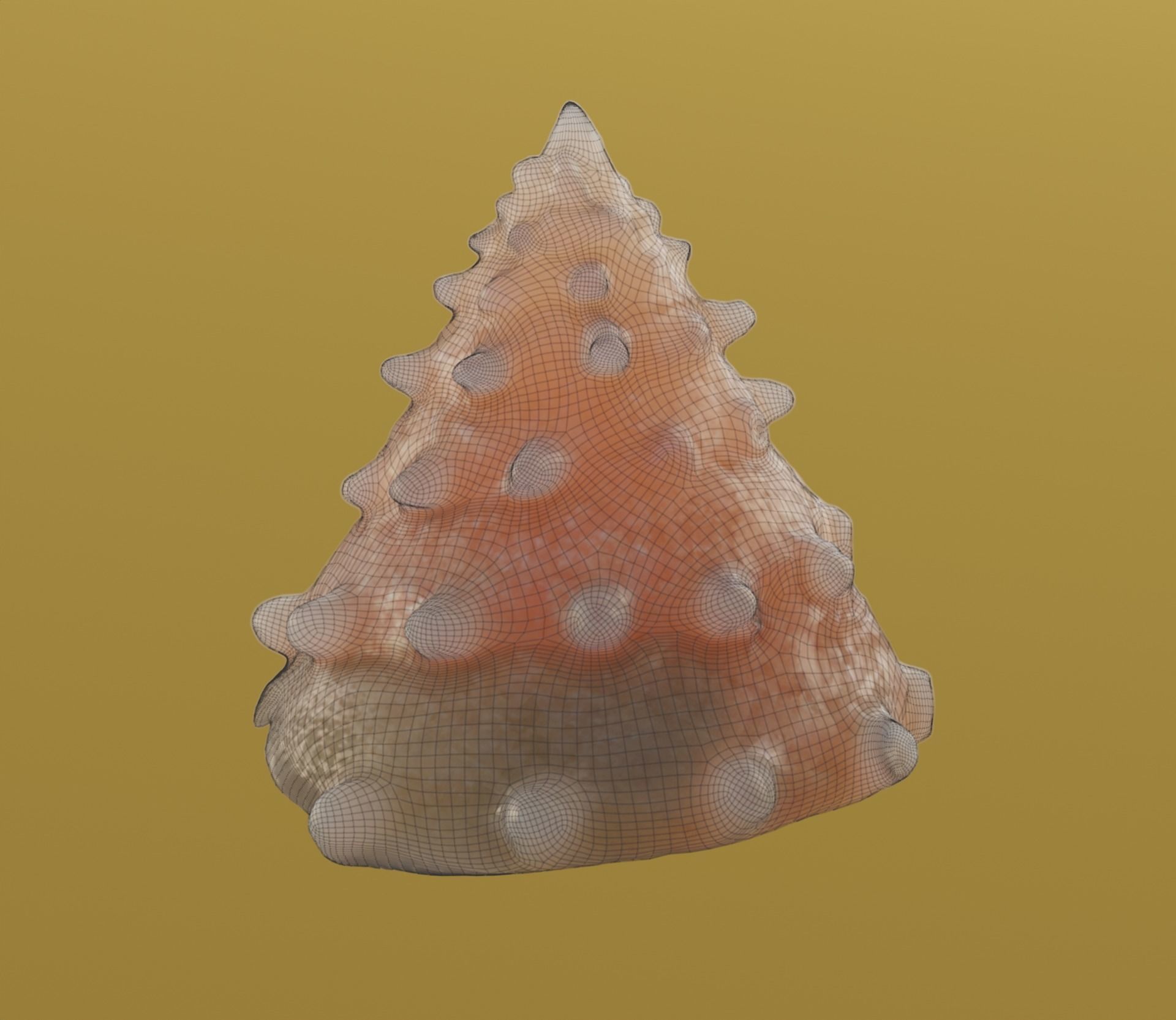seashell 3D model_6
