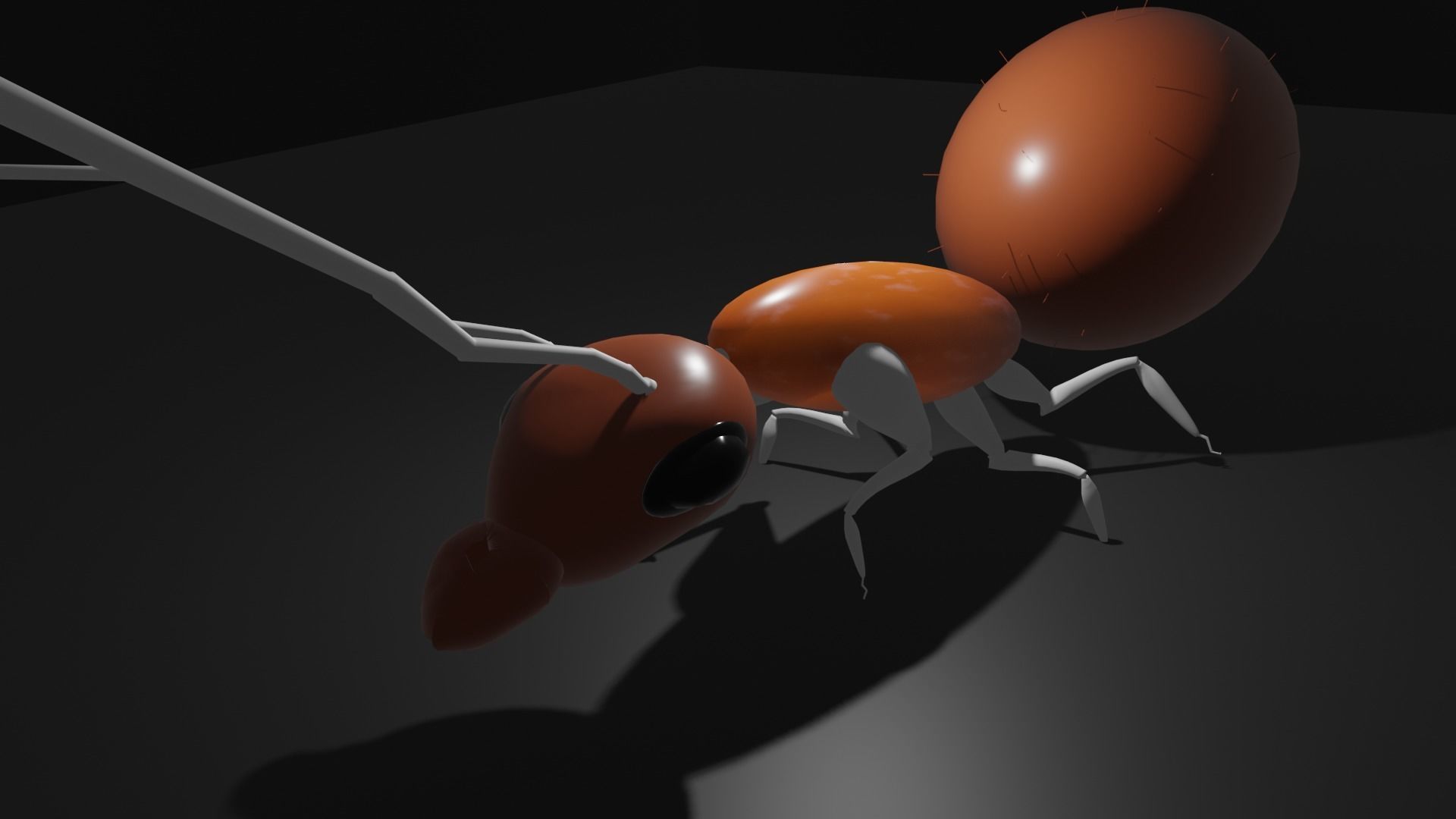 Basic Ant Model 3D print model_1