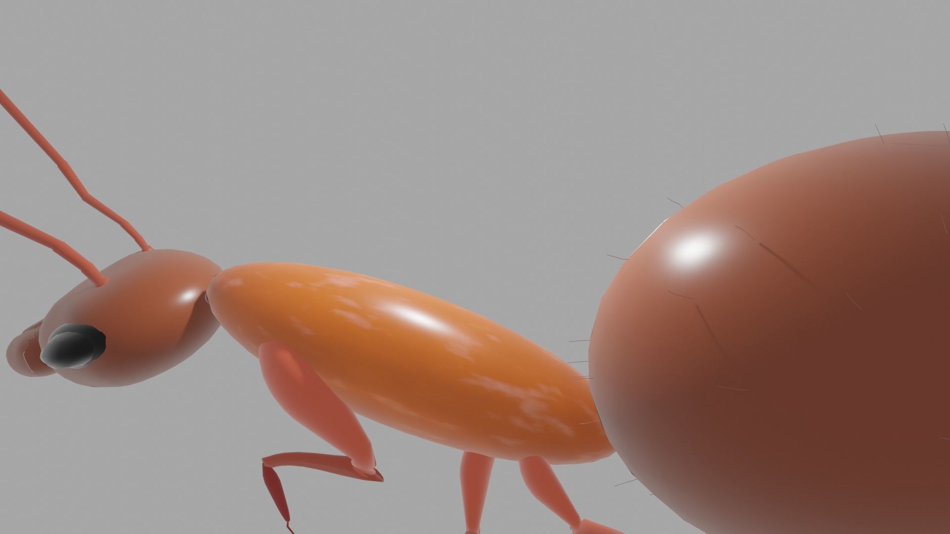 Basic Ant Model 3D print model_3