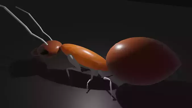 Basic Ant Model