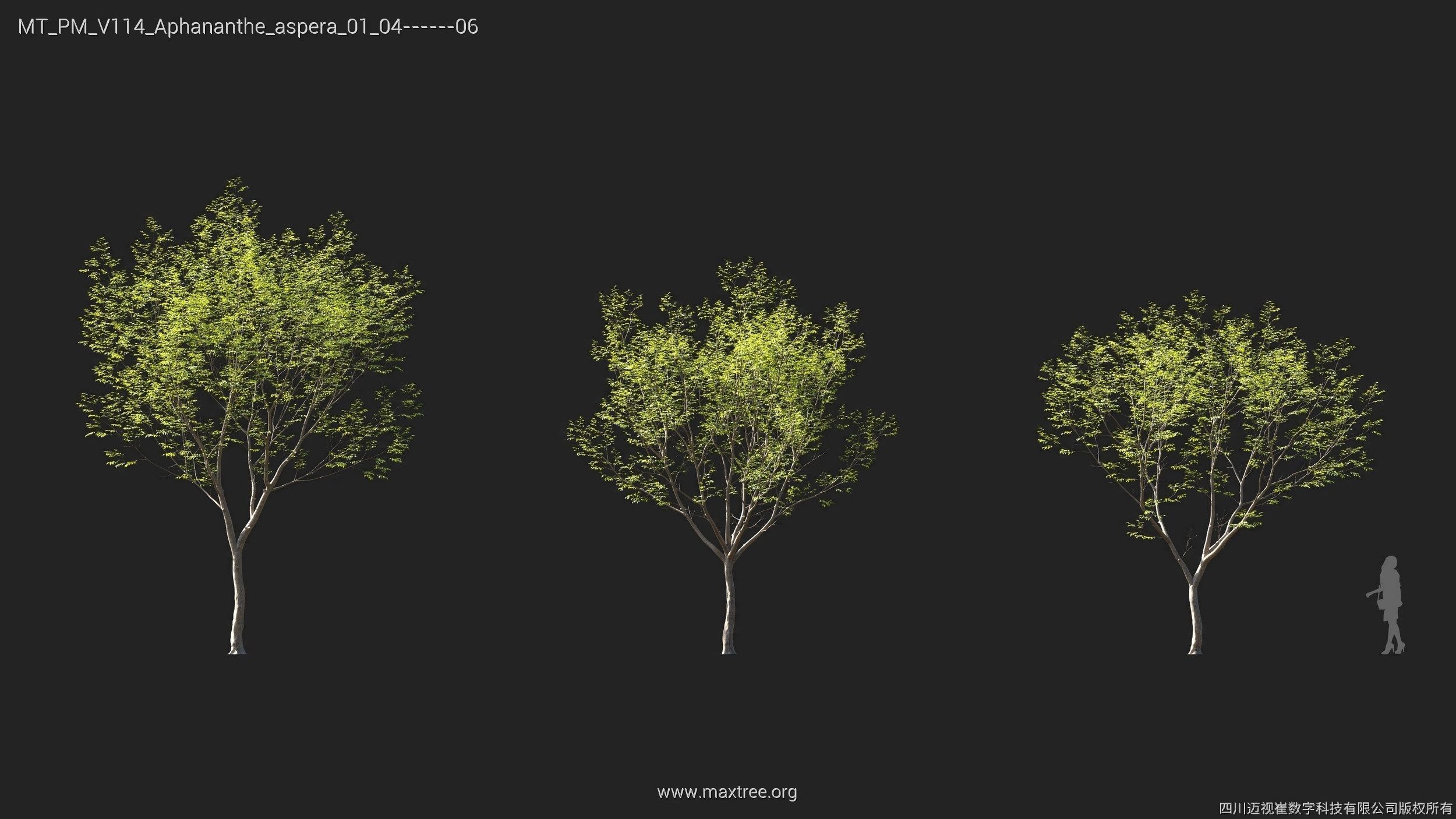 Maxtree Plant Models Vol 114 - Mesh 3D model_8