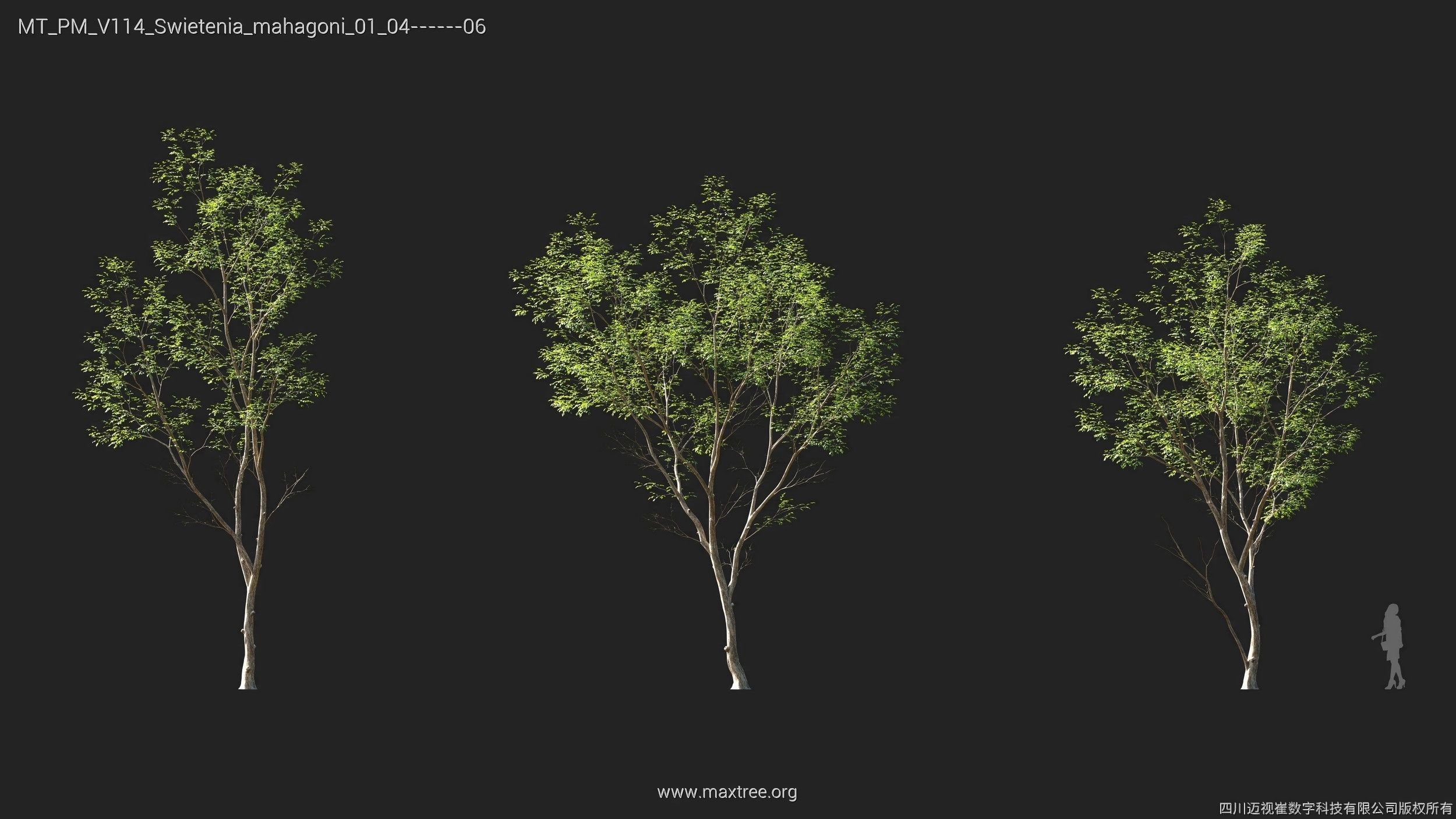 Maxtree Plant Models Vol 114 - Mesh 3D model_20