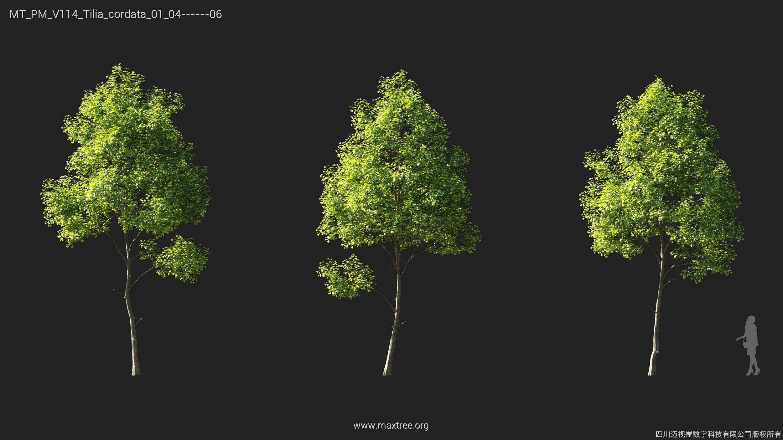 Maxtree Plant Models Vol 114 - Mesh 3D model_22