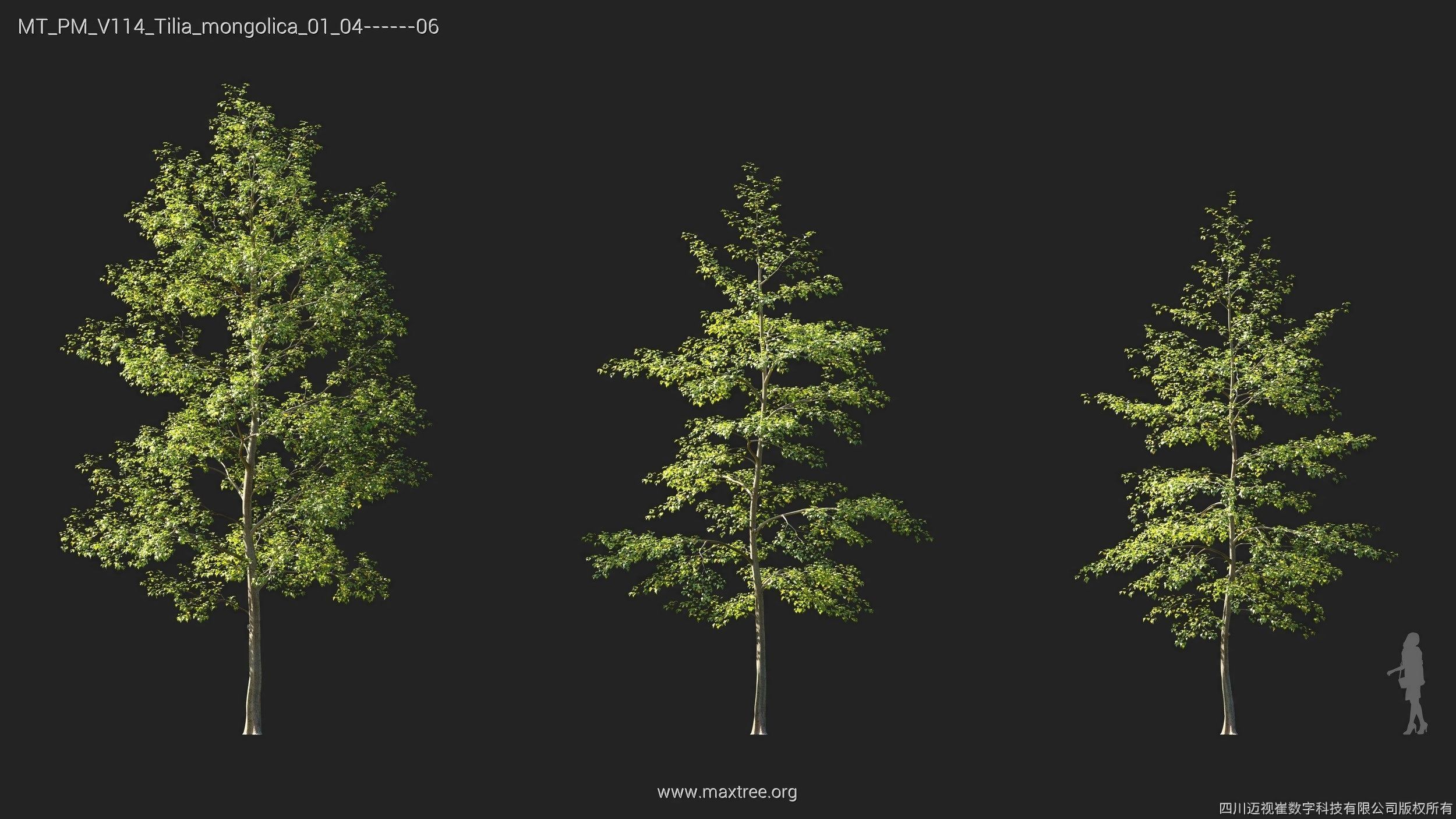 Maxtree Plant Models Vol 114 - Mesh 3D model_24