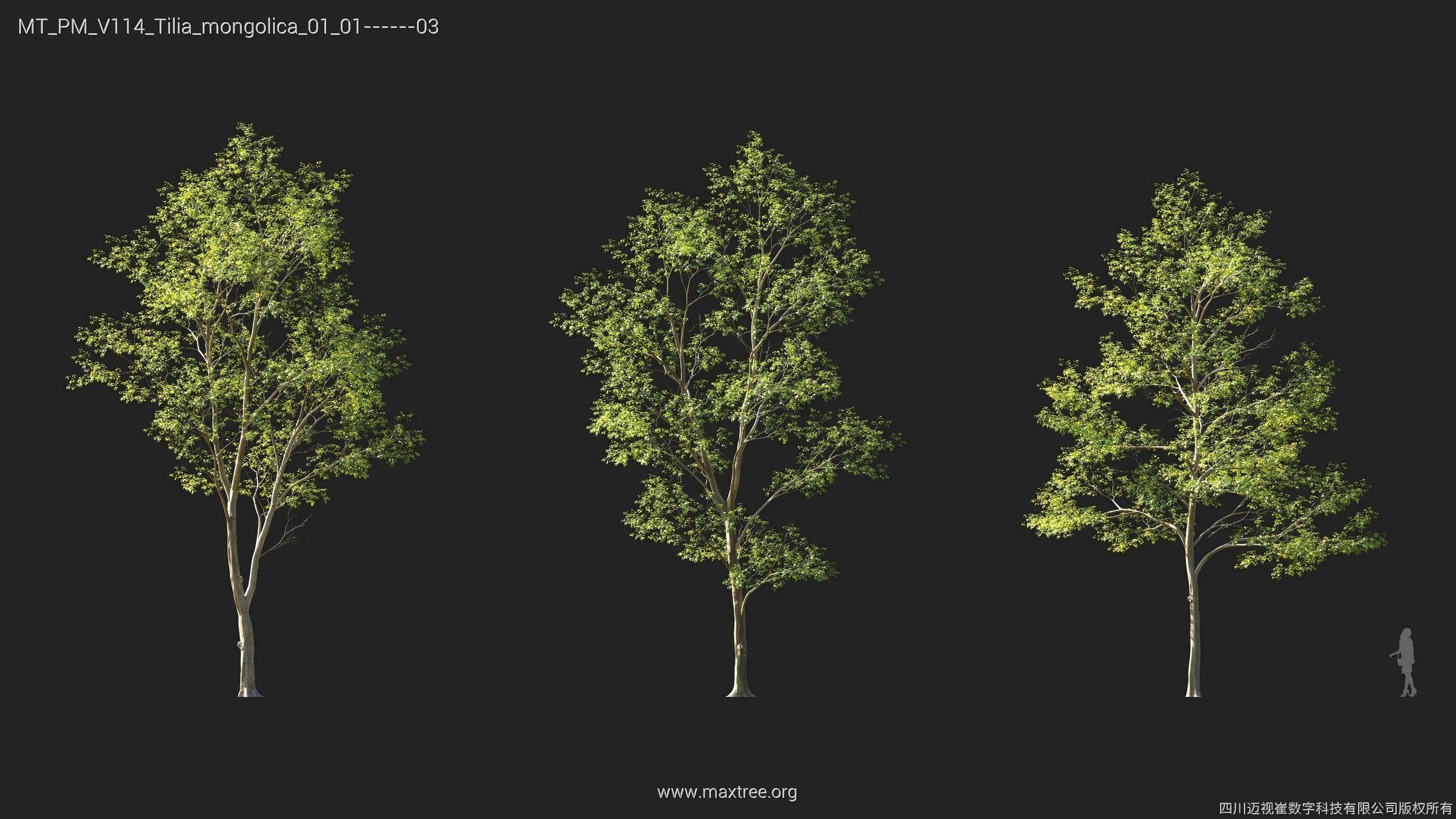Maxtree Plant Models Vol 114 - Mesh 3D model_23