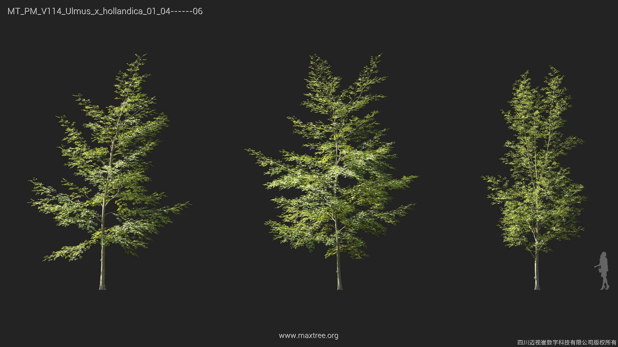 Maxtree Plant Models Vol 114 - Mesh 3D model_28