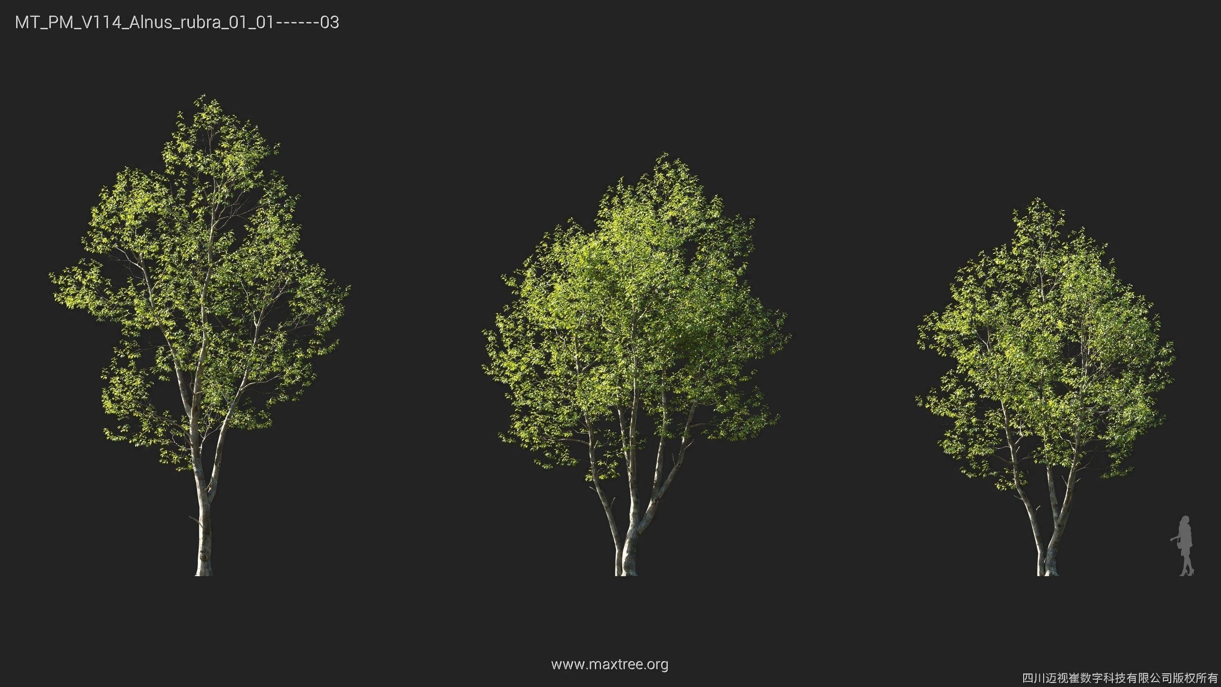 Maxtree Plant Models Vol 114 - Mesh 3D model_5