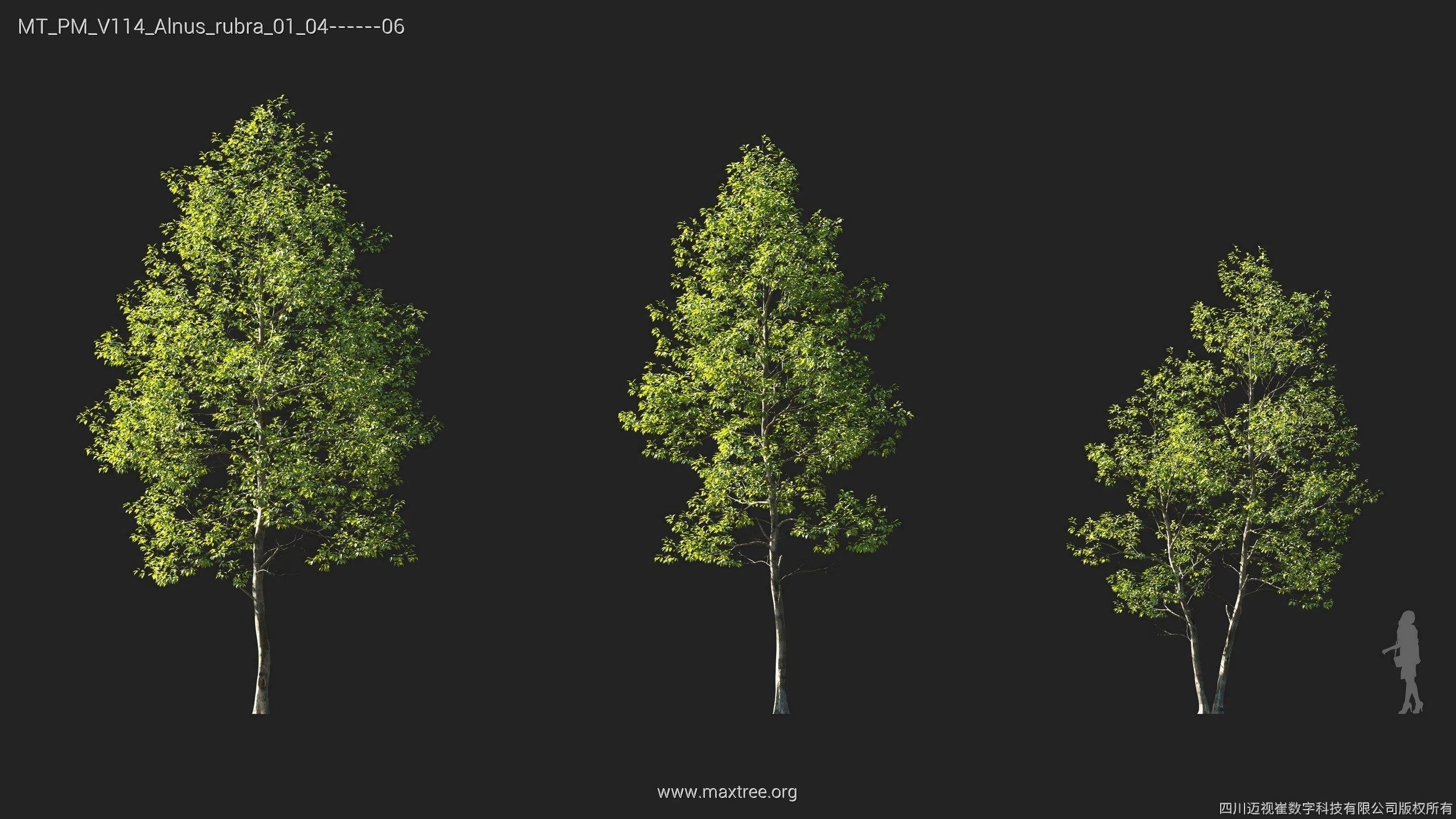 Maxtree Plant Models Vol 114 - Mesh 3D model_6