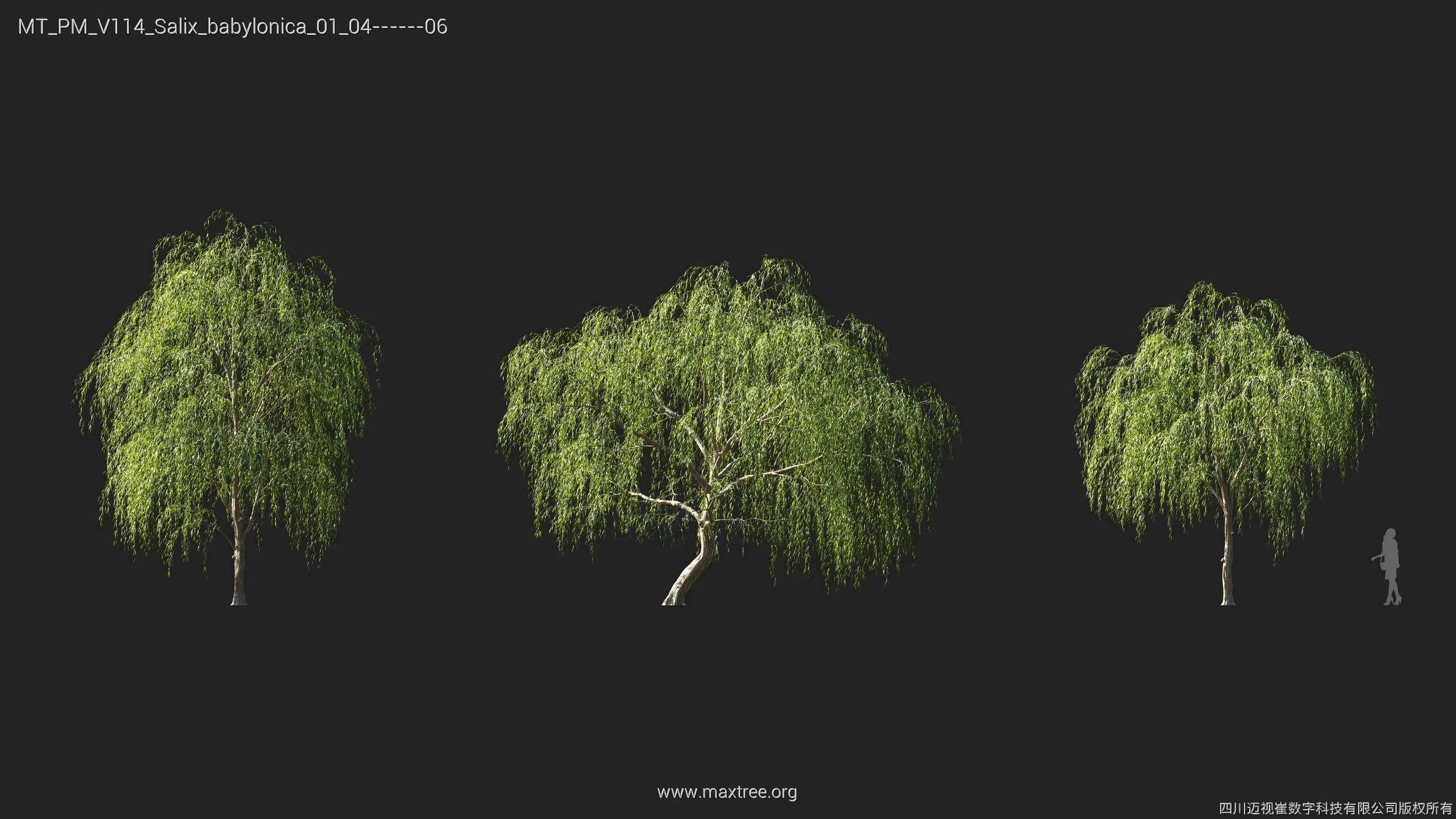 Maxtree Plant Models Vol 114 - Mesh 3D model_18