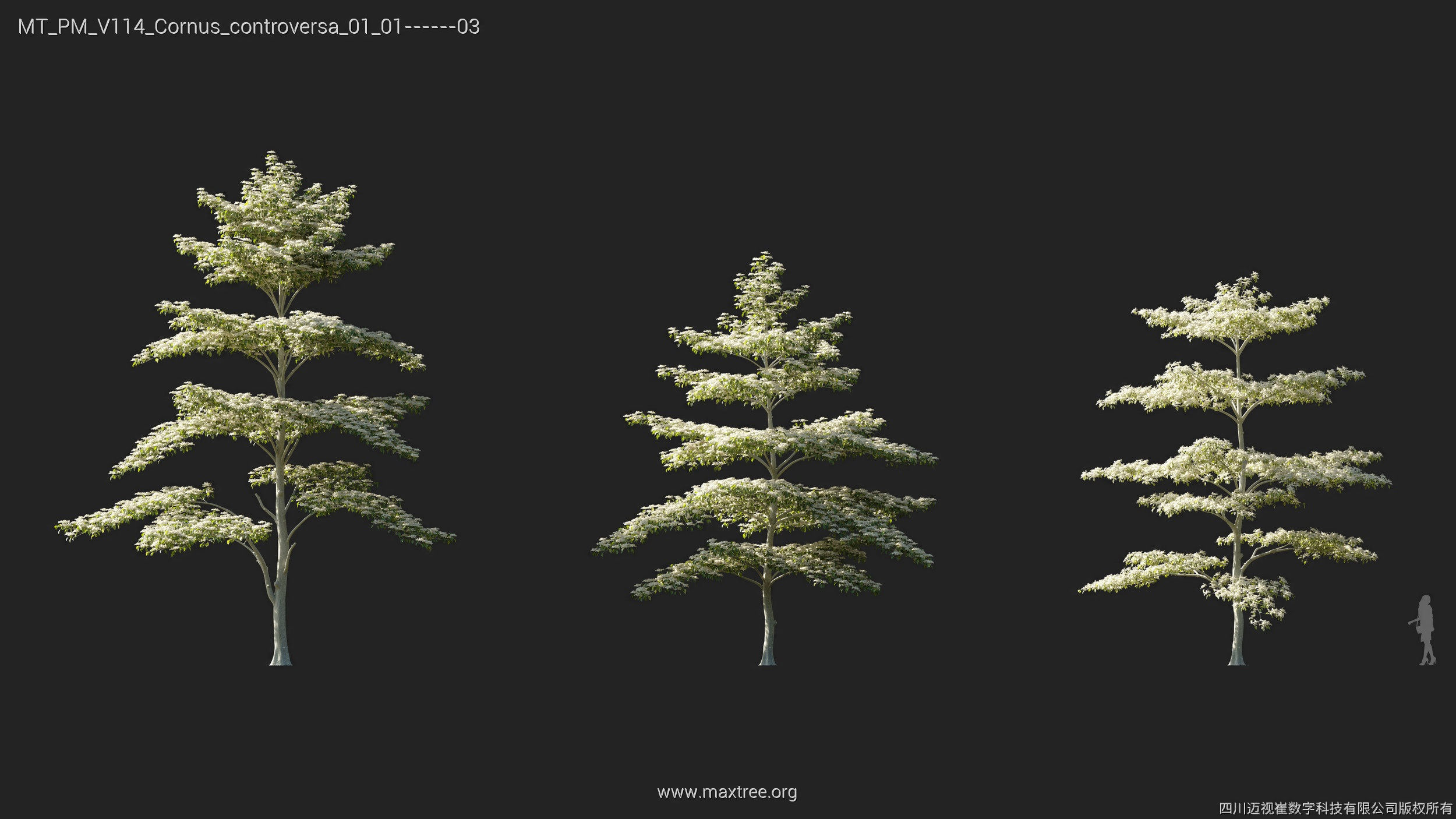 Maxtree Plant Models Vol 114 - Mesh 3D model_9