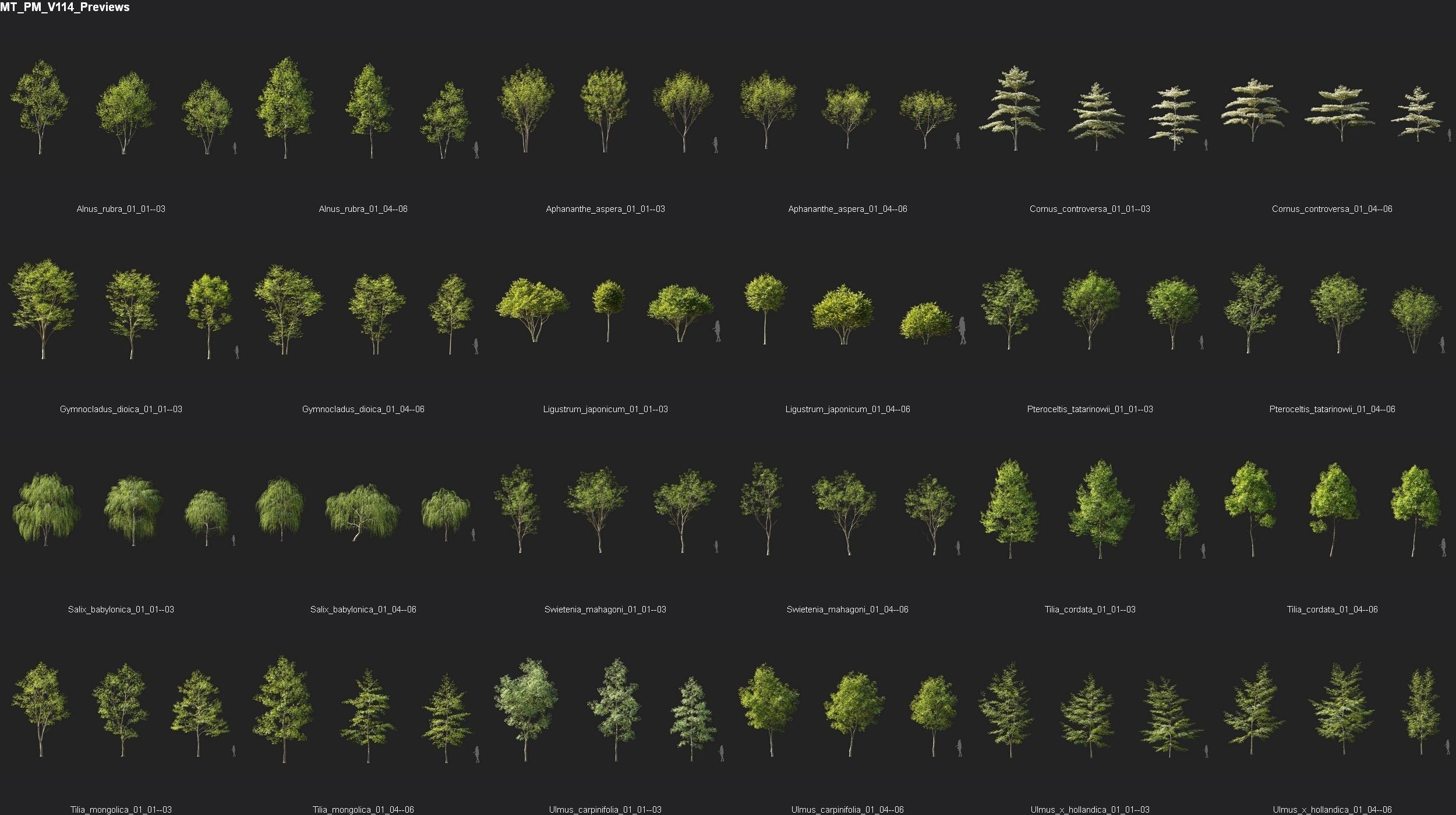 Maxtree Plant Models Vol 114 - Mesh 3D model_4