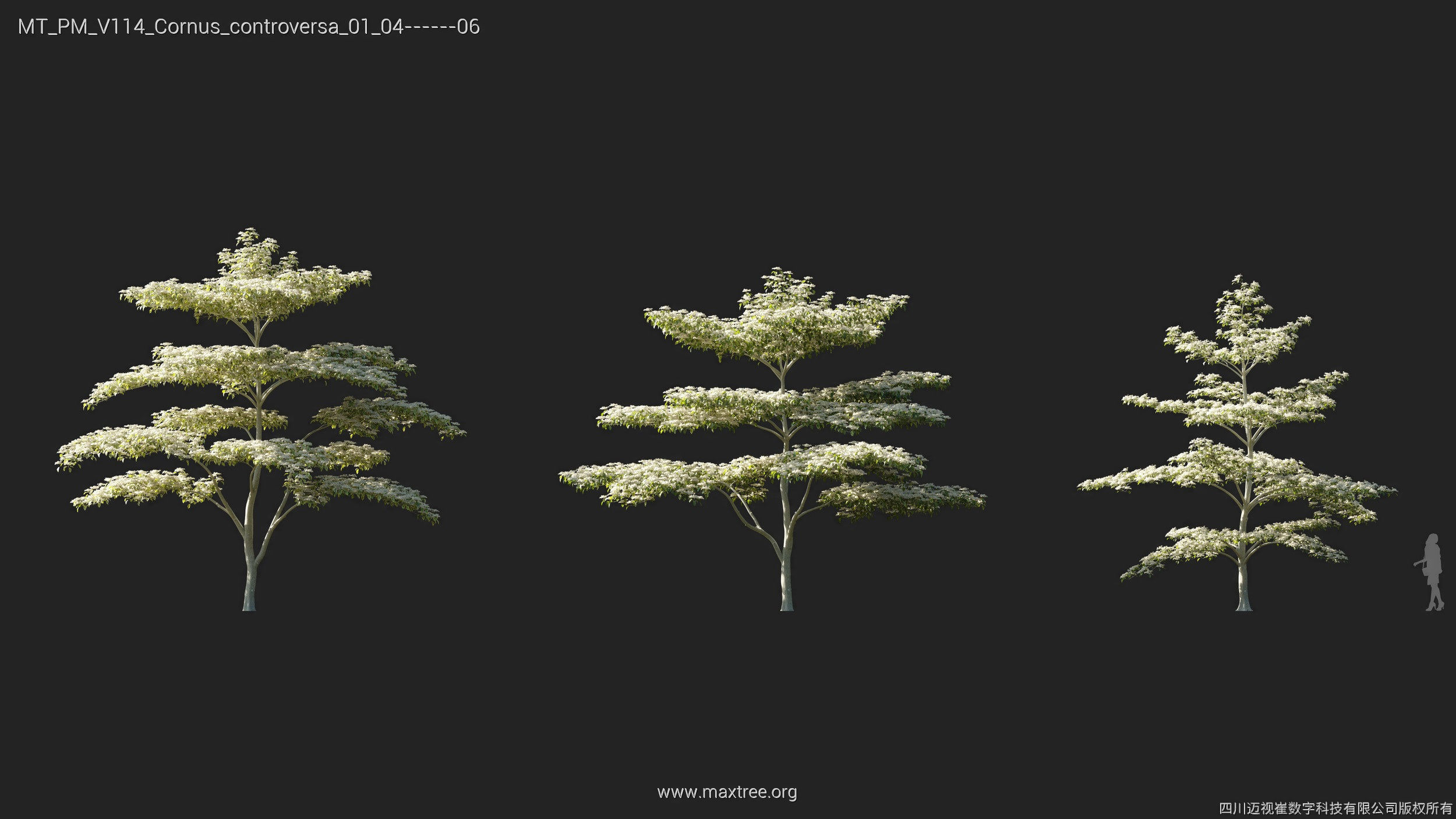Maxtree Plant Models Vol 114 - Mesh 3D model_10