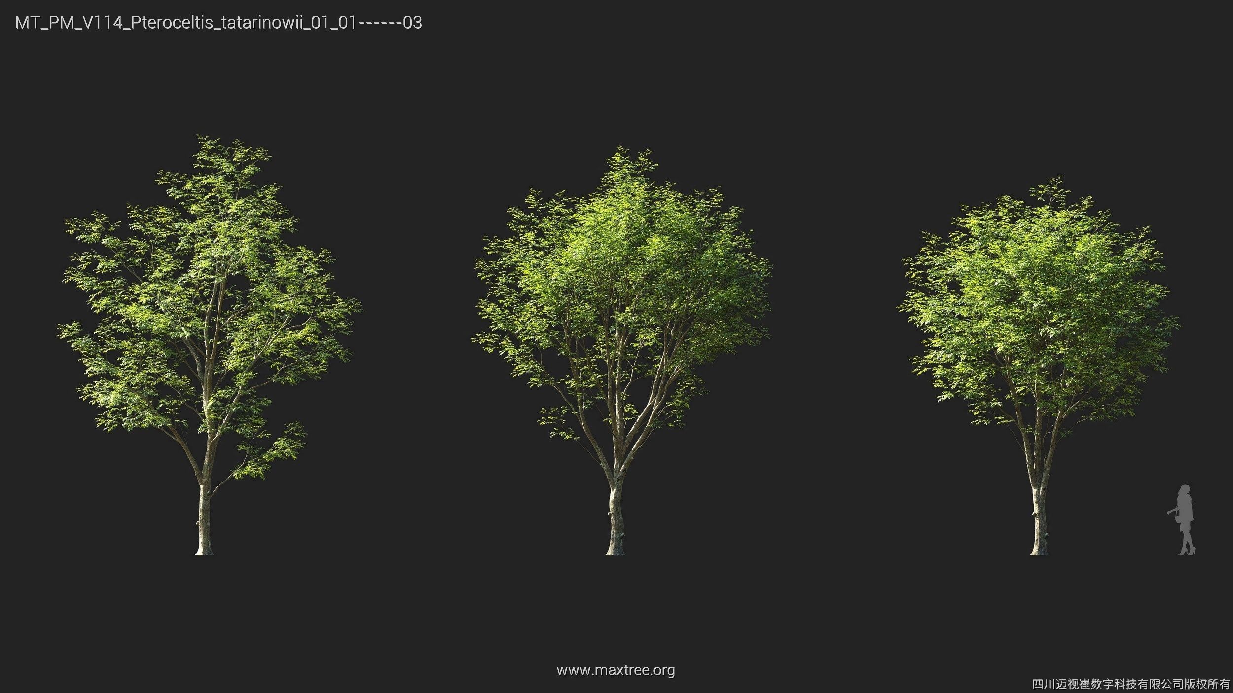 Maxtree Plant Models Vol 114 - Mesh 3D model_15