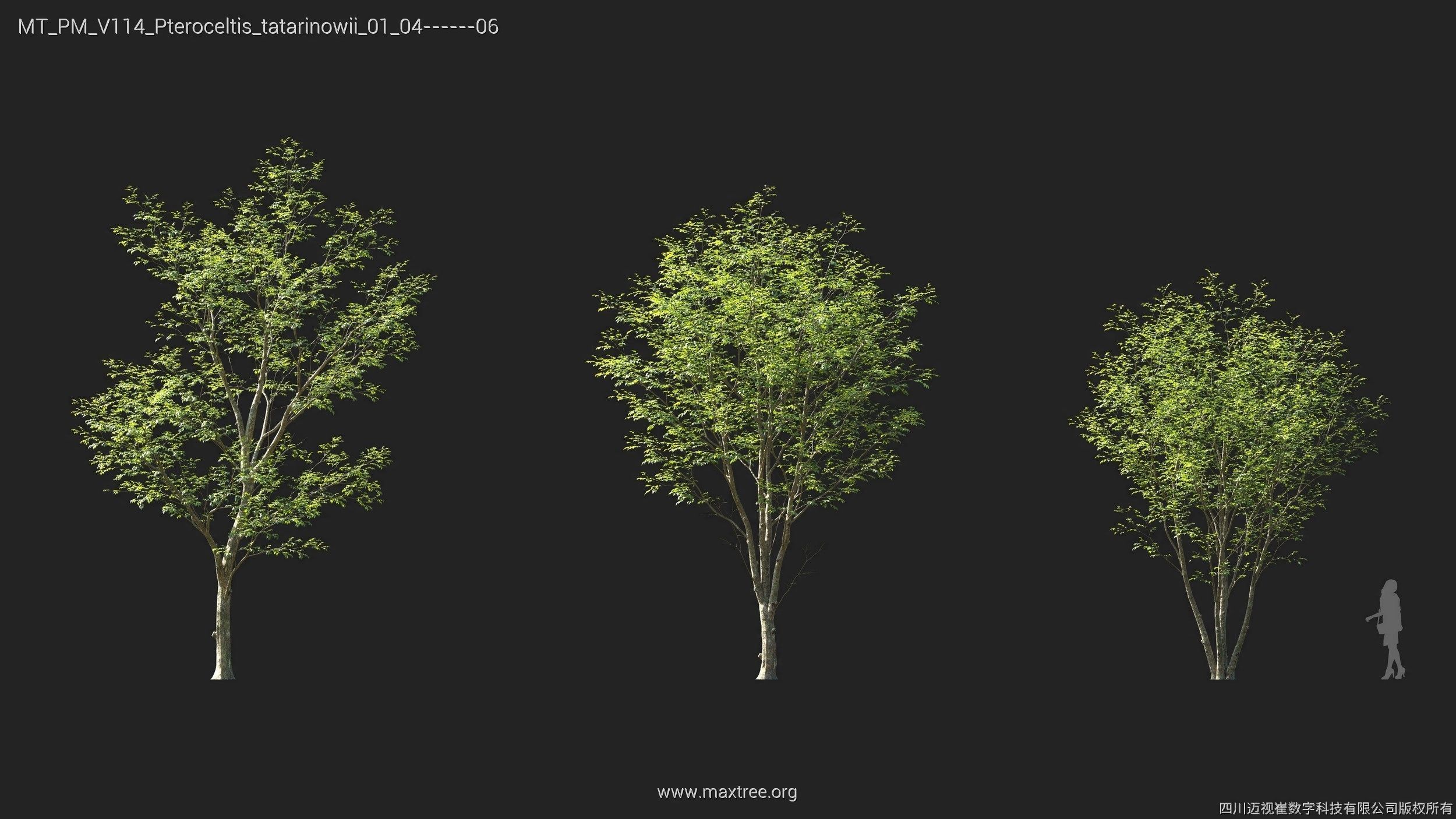 Maxtree Plant Models Vol 114 - Mesh 3D model_16