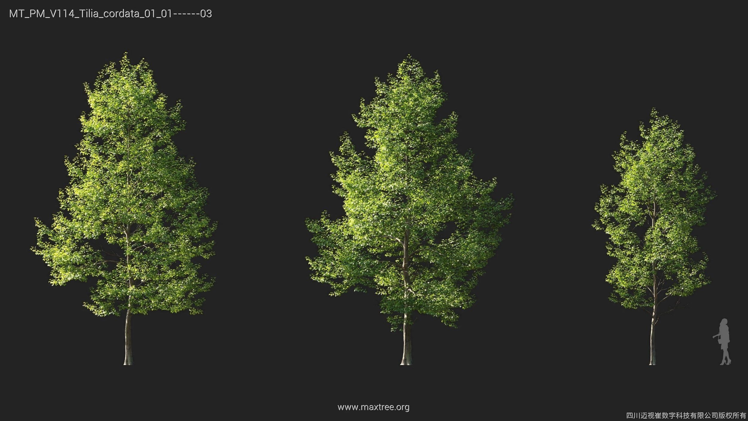 Maxtree Plant Models Vol 114 - Mesh 3D model_21