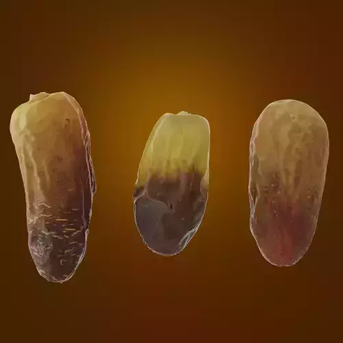 Dates Low-poly 3D model