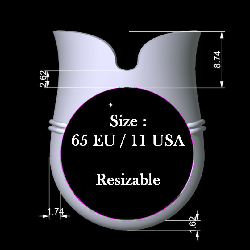 Caucasian Hat Ring 3D print model_5