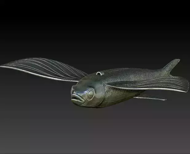 Flying Fish Lure 3D Print Model 3D print model