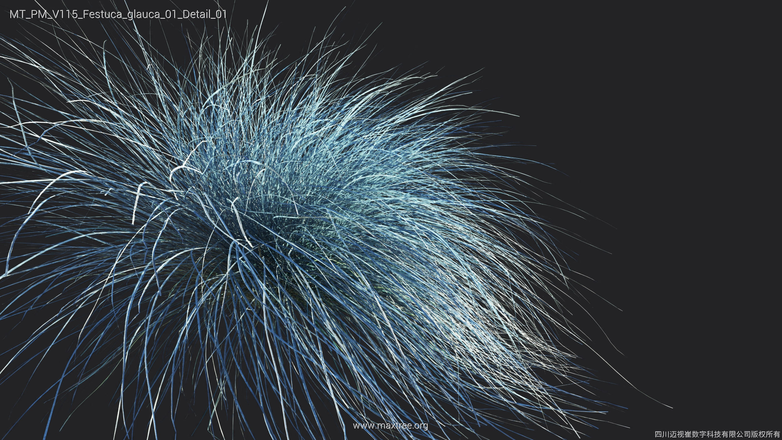 Maxtree Plant Models Vol 115 - Mesh 3D model_23