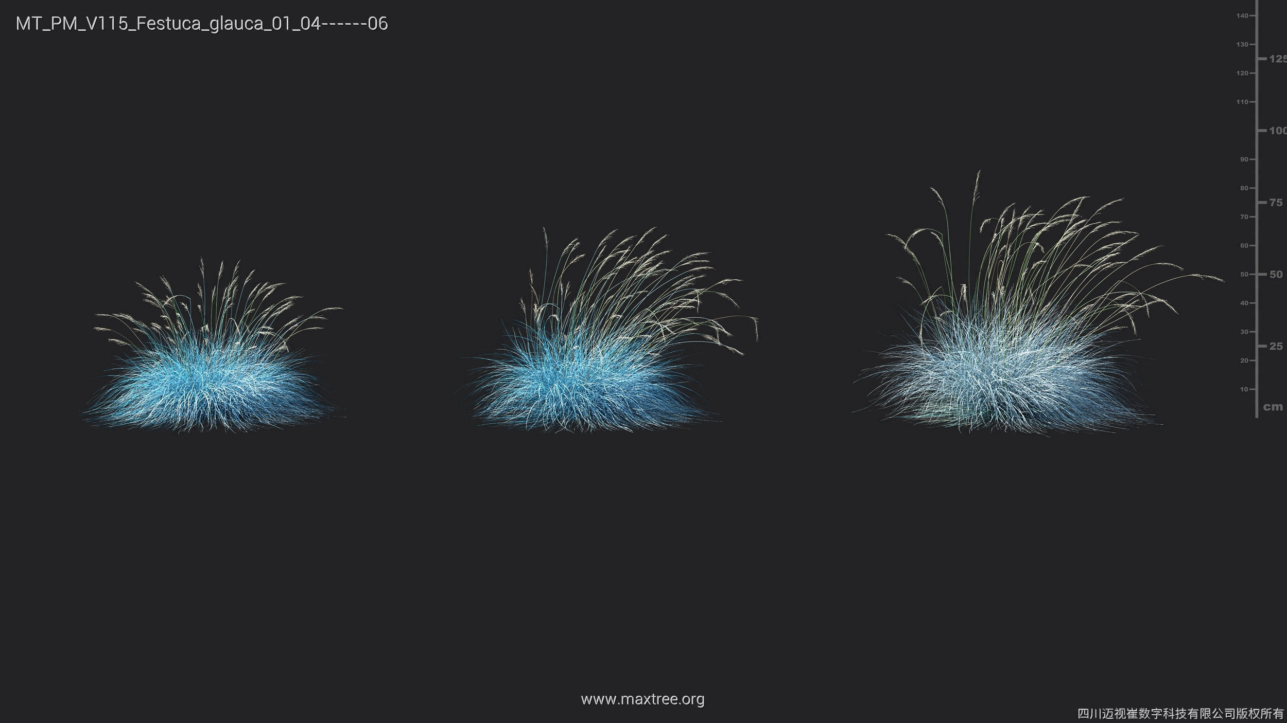 Maxtree Plant Models Vol 115 - Mesh 3D model_21