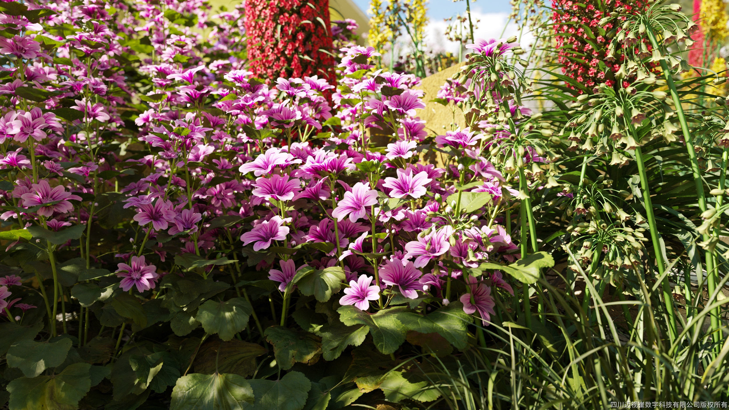 Maxtree Plant Models Vol 115 - Mesh 3D model_1