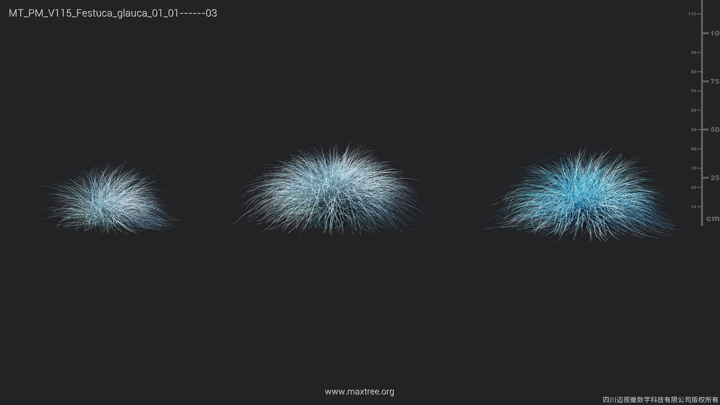 Maxtree Plant Models Vol 115 - Mesh 3D model_20