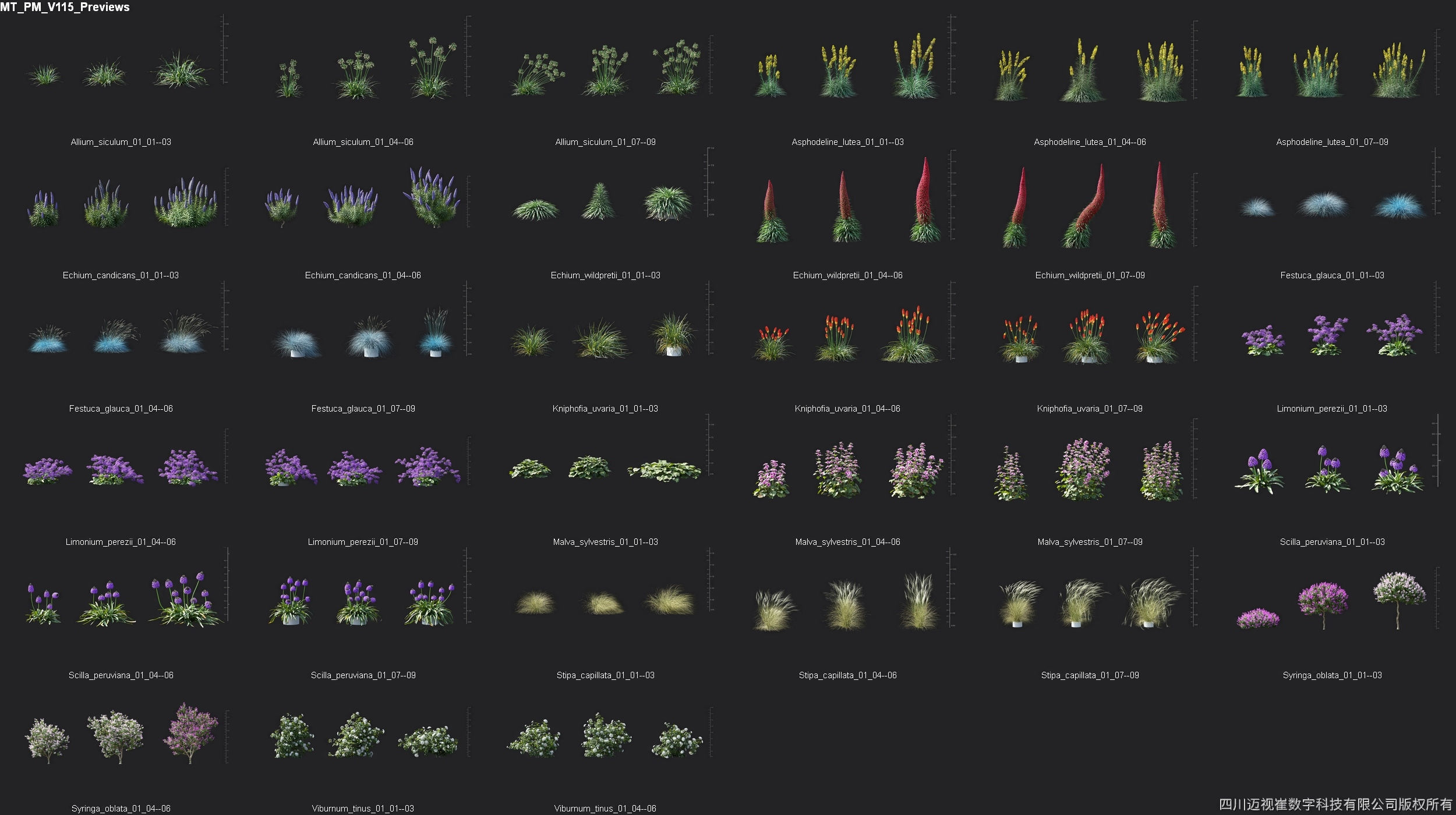 Maxtree Plant Models Vol 115 - Mesh 3D model_4