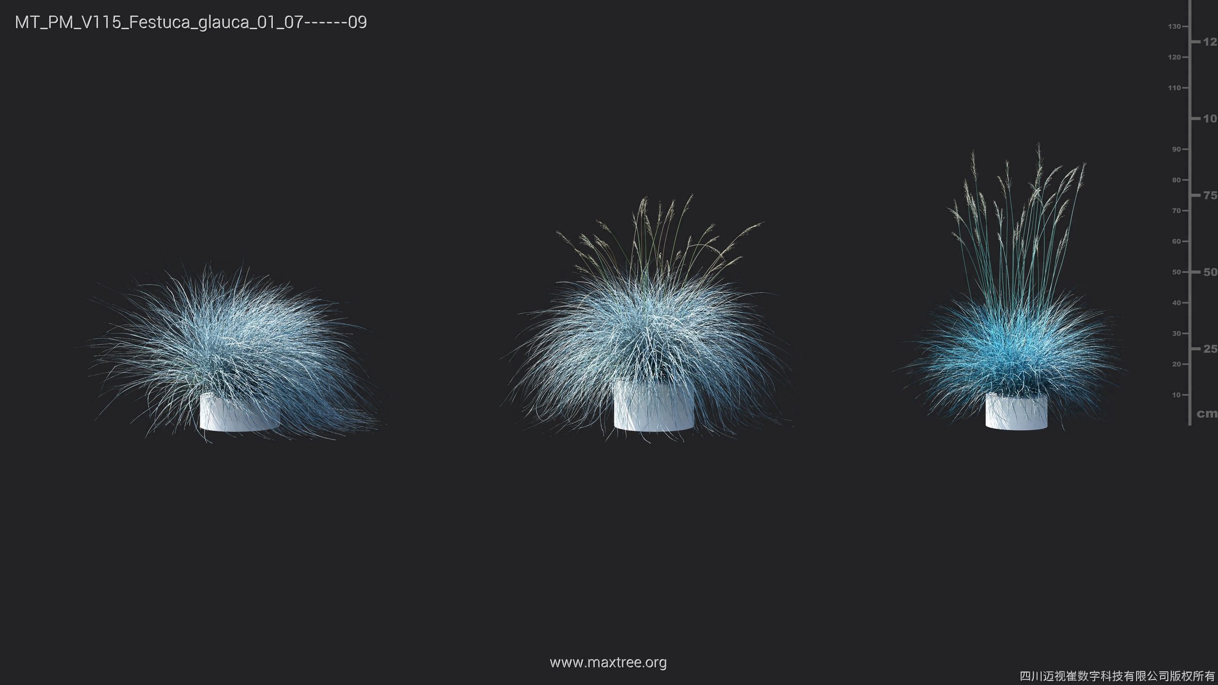 Maxtree Plant Models Vol 115 - Mesh 3D model_22