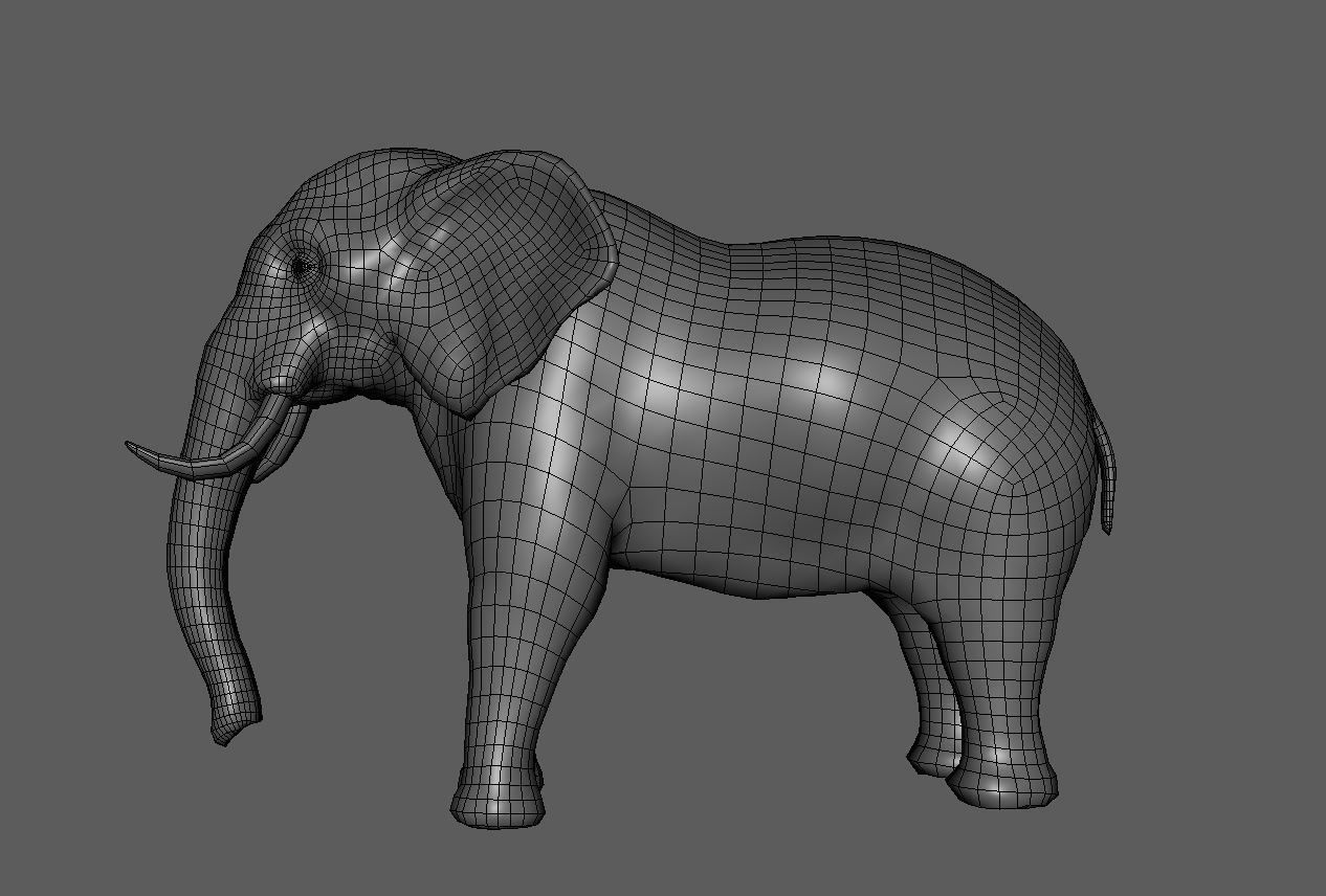 Elephant 3D model_9