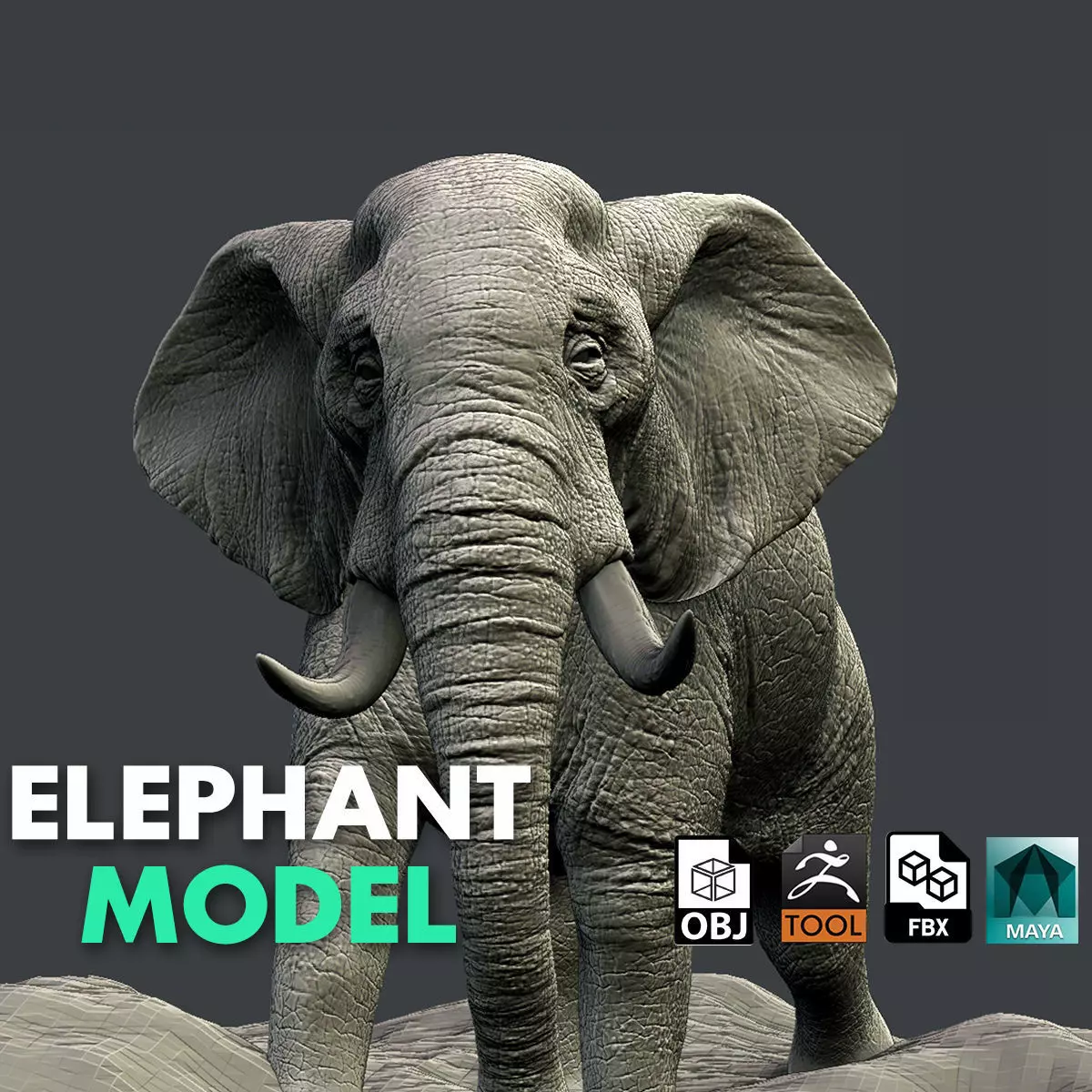 Elephant 3D model_0