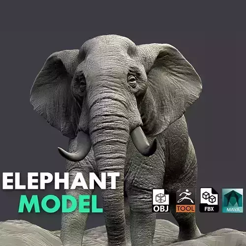 Elephant 3D model