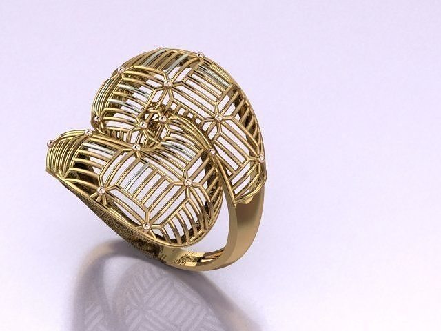 ring no 6 3D print model