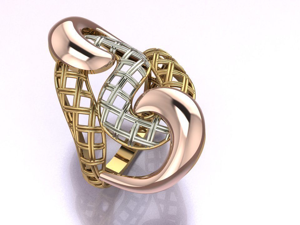 ring no 8 3D print model_1