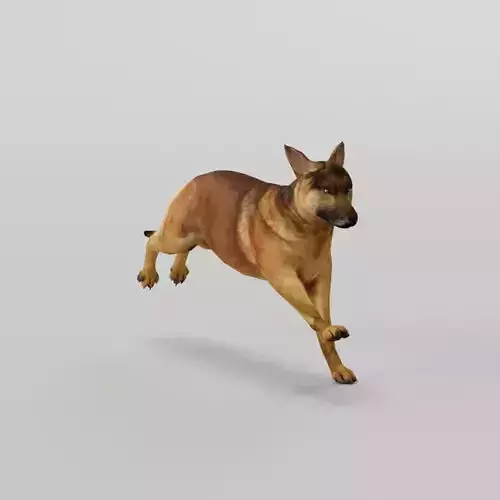 Belgian Tervuren Low Poly Dog