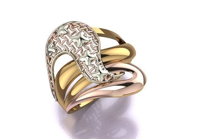 ring no 13 3D print model
