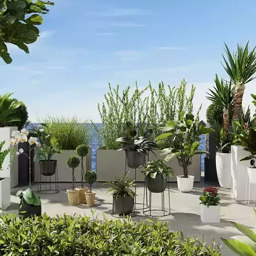 Interior Package 02-Potted Plants